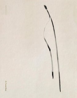 Txema Yeste : Needles