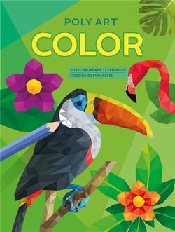 Poly art color