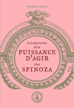 Les expressions de la puissance d'agir chez Spinoza