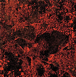 Murder Of The Universe - Live At Red Rocks 2022 - Inclus puzzle 100 pièces - édition colorée