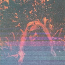 Peripheral Vision (10 Years Anniversary Deluxe Edition) - édition deluxe