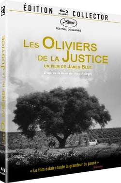 Les Oliviers de la justice