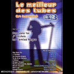 Le meilleur des tubes en karaoke/vol.12