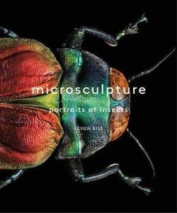 Microsculpture : portraits of insects