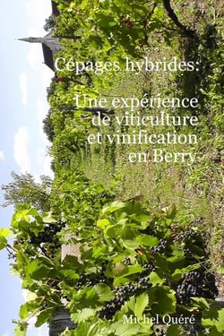 Cépages hybrides: une expérience de viticulture et vinification en Berry