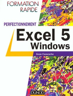 Excel 5 windows perfectionnement
