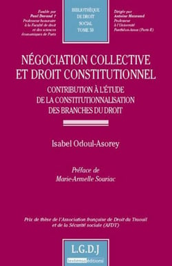 Négociation collective et droit constitutionnel - contribution à l'étude de la constitutionnalisation des branches du droit