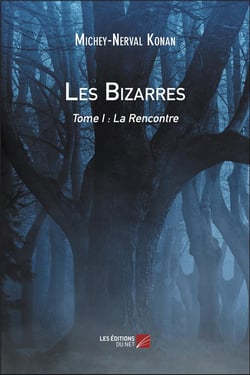 Les bizarres t.1 - la rencontre