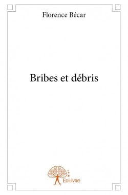 Bribes et débris
