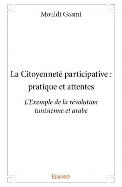 La citoyenneté participative : pratique et attentes