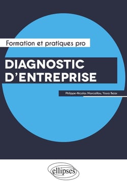 Diagnostic d'entreprise - performance, capital immatériel et risques