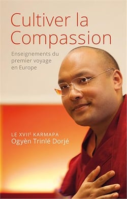 Cultiver la compassion - enseignements du premier voyage en europe