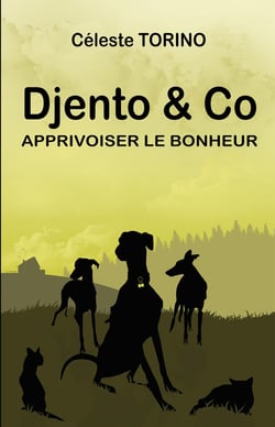Djento & Co : Apprivoiser le bonheur