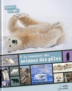 Les animaux des pôles
