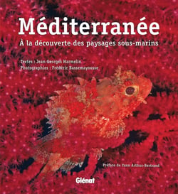 Méditerranée : À la découverte des paysages sous-marins