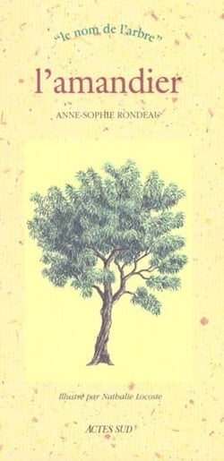 L'amandier - le nom de l'arbre
