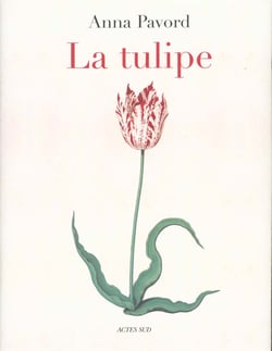 La tulipe