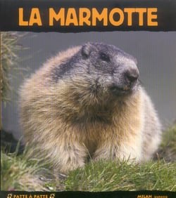 Marmotte (la)