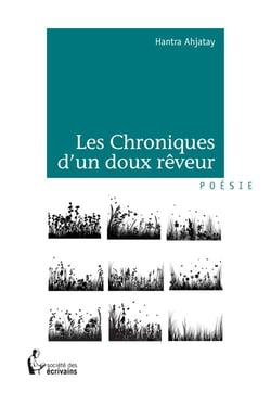 Les Chroniques d'un doux rêveur