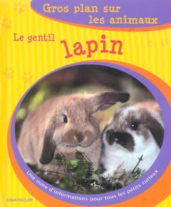 Gros plan sur les animaux 09. le gentil lapin