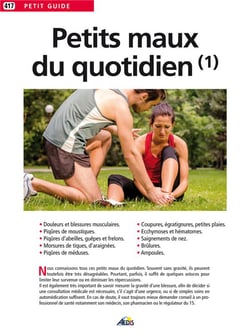 Petits maux du quotidien t.1