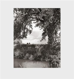 Robert adams cottonwoods