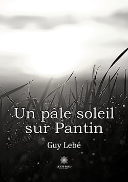 Un pâle soleil sur Pantin