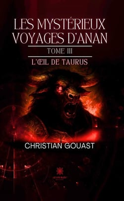 Les mystérieux voyages d'Anan