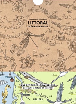 Littoral océan atlantique - affiche à colorier