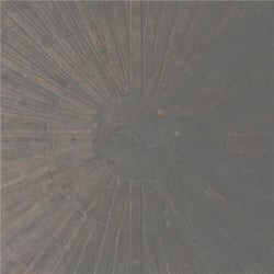 Selva oscura