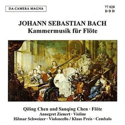 Kammermusik für flöte