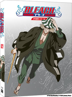 Bleach - Partie 9