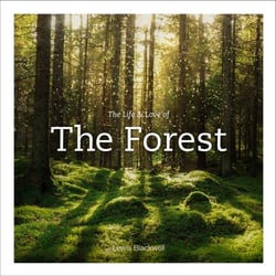 The life and love of the forest