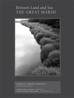Between land and sea : the great marsh, photographs by dorothy kerper monnelly