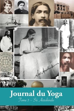 Journal du yoga t.3 : notes de Sri Aurobindo sur sa discipline spirituelle (1915 à1927)
