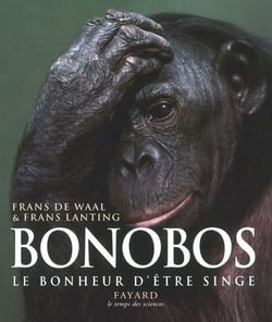 Bonobos