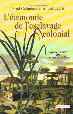 L'economie de l'esclavage colonial