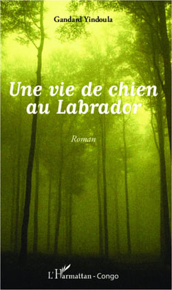 Vie de chien au Labrador