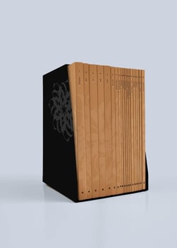 Coffret la bible en carnet : Nouveau testament