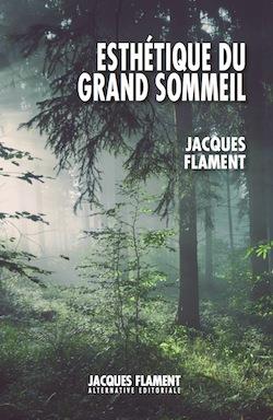 Esthétique du grand sommeil