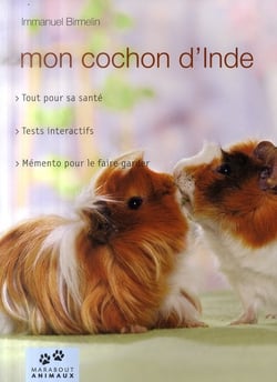 Mon cochon d'inde