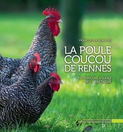 La poule Coucou de Rennes - patrimoine vivant de la Bretagne