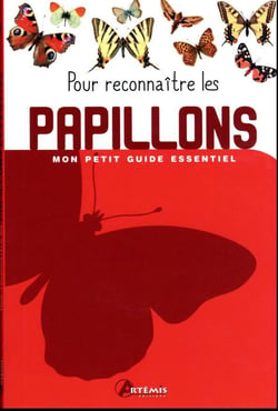 Pour reconnaître les papillons