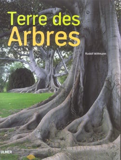 Terre des arbres