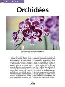 Les orchidées