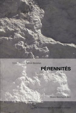 Pérennités - mélanges offerts à Patrick Mestelan