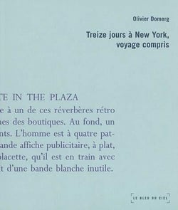 Treize jours a new york, voyage compris