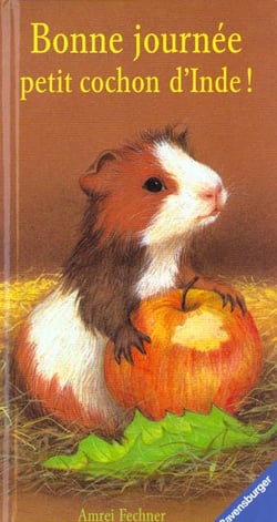 BONNE JOURNEE PETIT COCHON D'INDE