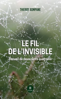 Le fil de l'invisible