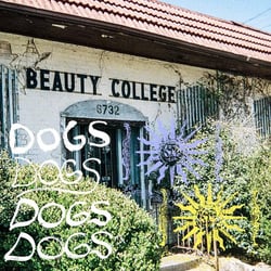 Dogs - édition colorée